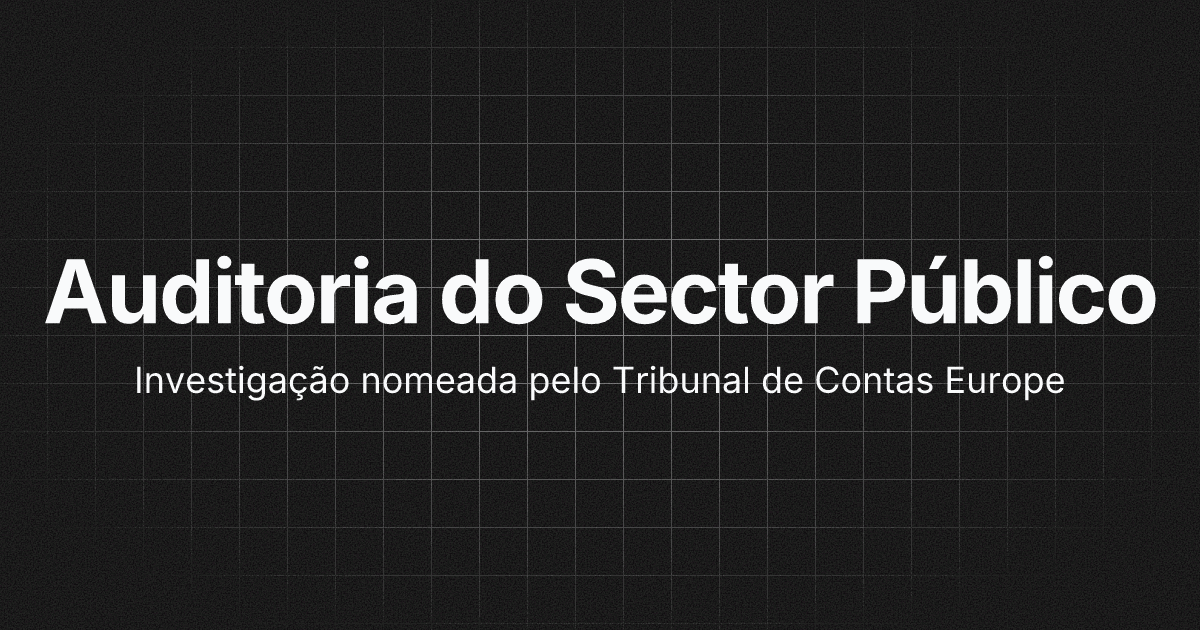 Auditoria do Sector Público: ferramentas digitais para aumentar a eficiência e eficácia